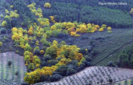 El Valle de Robledo del Mazo