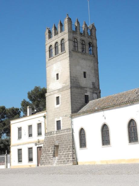 ATENEO DEL VINO: VISITA A LA VIÑA «EL MAJUELO» DEL PAGO MACHARNUDO, A LAS BODEGAS FUNDADOR Y COMIDA EN LA «TAPERÍA FUNDADOR»