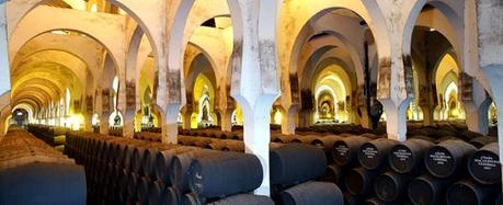 ATENEO DEL VINO: VISITA A LA VIÑA «EL MAJUELO» DEL PAGO MACHARNUDO, A LAS BODEGAS FUNDADOR Y COMIDA EN LA «TAPERÍA FUNDADOR»