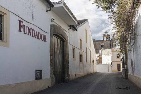 ATENEO DEL VINO: VISITA A LA VIÑA «EL MAJUELO» DEL PAGO MACHARNUDO, A LAS BODEGAS FUNDADOR Y COMIDA EN LA «TAPERÍA FUNDADOR»