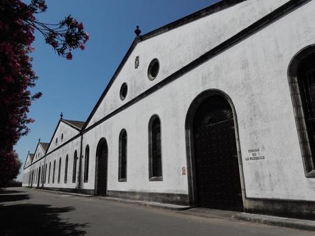 ATENEO DEL VINO: VISITA A LA VIÑA «EL MAJUELO» DEL PAGO MACHARNUDO, A LAS BODEGAS FUNDADOR Y COMIDA EN LA «TAPERÍA FUNDADOR»