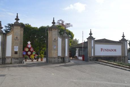 ATENEO DEL VINO: VISITA A LA VIÑA «EL MAJUELO» DEL PAGO MACHARNUDO, A LAS BODEGAS FUNDADOR Y COMIDA EN LA «TAPERÍA FUNDADOR»