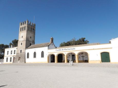 ATENEO DEL VINO: VISITA A LA VIÑA «EL MAJUELO» DEL PAGO MACHARNUDO, A LAS BODEGAS FUNDADOR Y COMIDA EN LA «TAPERÍA FUNDADOR»