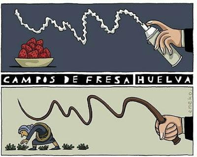 ¿Qué nos trae el verano de este año…?