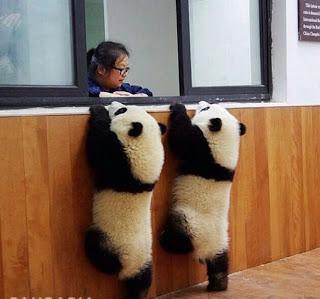 ¿Qué nos trae el verano de este año…?