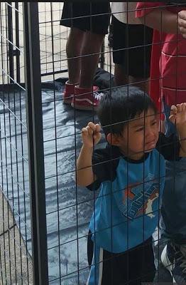 ¿Qué nos trae el verano de este año…?