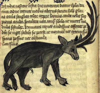 El Escriba recomienda...The Medieval Bestiary