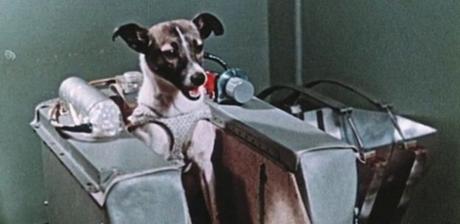laika-viaje-espacial-primer-ser-vivo-espcaio