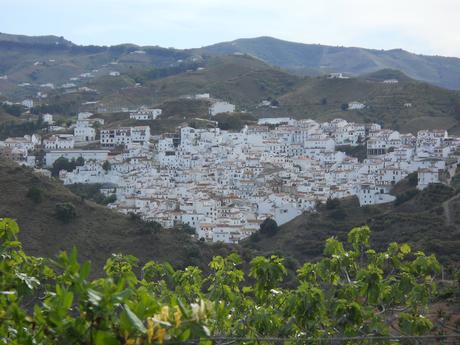 Ajoblanco
