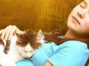 Beneficios aportan gatos salud humana