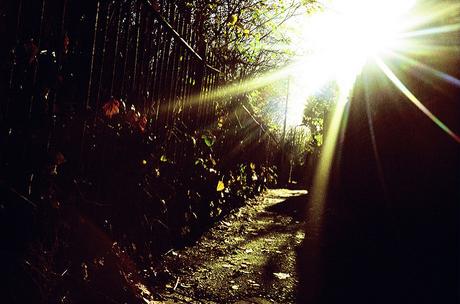 La sonámbula y más relatos inquietantes - Marie Luise Kaschnitz