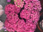 Descubrimientos semana