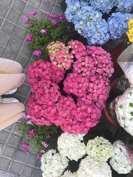 Descubrimientos de la semana Descubrimientos de la semana