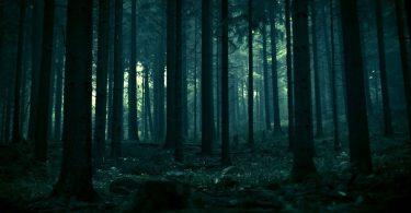 Las 5 películas de terror más brillantes de la última década