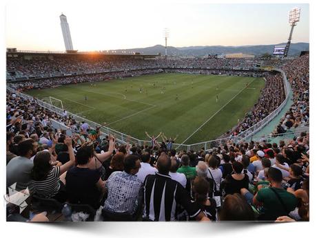 #WeekPic 50 Bendita locura #WeekPic 50 Bendita locura