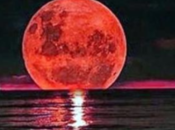 Prepárate, Luna Tierra está punto hacer algo hecho años