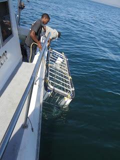 Encuentro con un Gigante Encuentro con un Gigante