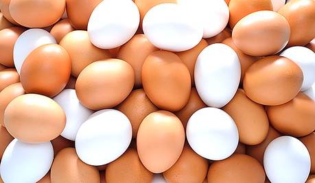 huevo para ganar masa muscular