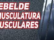 Respondiendo Preguntas