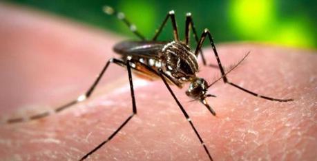 Síntomas del Zika