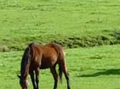 Solo estas cansado, necesitas descansar