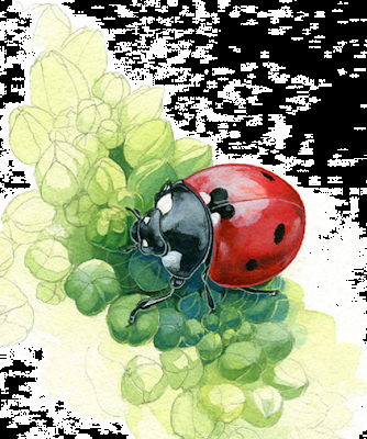 MUSEO VIVO DE LOS INSECTOS: ¡Una maravilla visual que además educa!