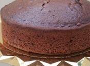 Bizcocho chocolate lácteos