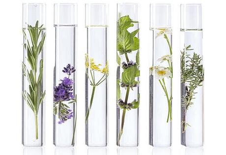 Descubriendo el Poder Rejuvenecedor de Timeless Anti-Aging Day Cream de Orphica