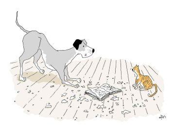 [HUMOR EN CÁPSULAS] Para hoy martes, 26 de junio