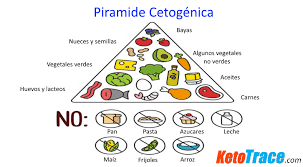 Epilepsia refractaria: por qué una modificación en la alimentación reduce las convulsiones Resultado de imagen para dieta cetogenica para epilepsia