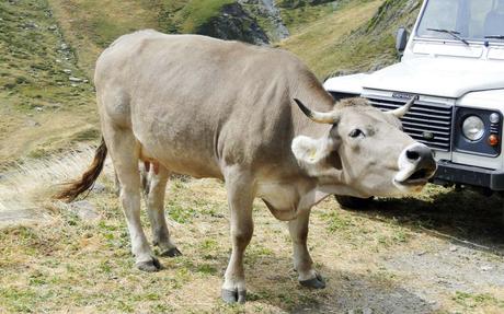 Mi escapada fugaz a Andorra en verano Mi escapada fugaz a Andorra en verano