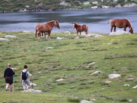 Mi escapada fugaz a Andorra en verano