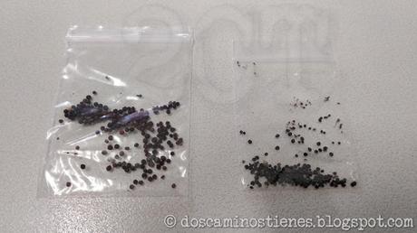 Aprendiendo un poco sobre plantas carnívoras