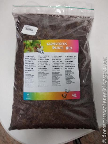 Aprendiendo un poco sobre plantas carnívoras