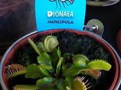 Aprendiendo poco sobre plantas carnívoras