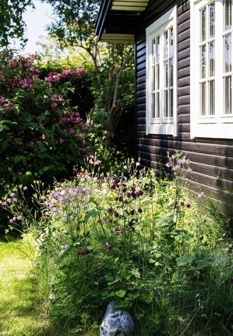 hierba en el tejado estilo escandinavo casa nórdica casa de verano Casa de madera casa danesa casa con tejado hierba aislante térmico natural   