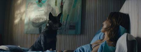 Los Perros. Una película de Marcela Said.