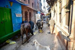 Viajes_India_Benares