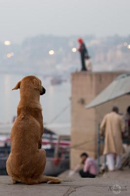 Viaje_India_Benares