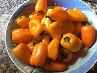MINI PIMIENTOS RELLENOS DE QUESO