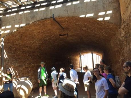 Excursión visita El Celler del Roure (Moixent, Valencia) 17 de junio de 2018