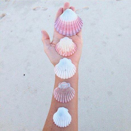 ideas de fotos para subir y arrasar en instagram este verano  conchas shells