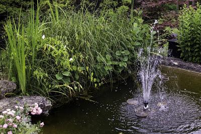 LA FUENTE DE LOS PECES.