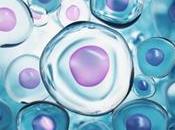 considera autofagia como proceso para tratar enfermedades