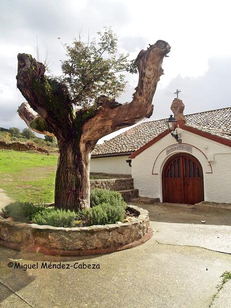 El Obispo Jareño patriota asesinado por los franceses en la Guerra de la Independencia