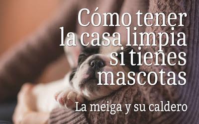 Cómo tener la casa limpia si tienes mascotas