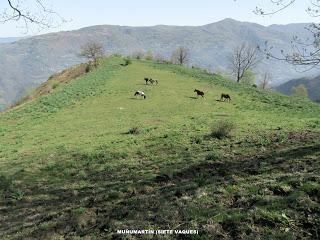 Grameo-La Braña-Cutiellos-Turón