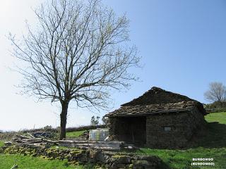 Grameo-La Braña-Cutiellos-Turón