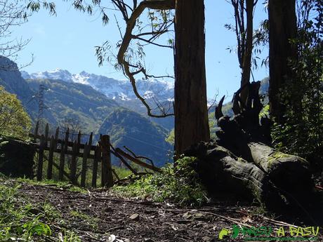 El Aramo subiendo a Serandi