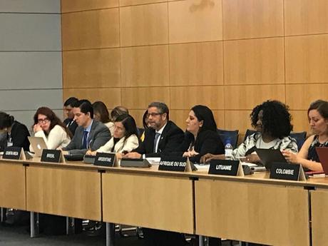 Ministro Rubinstein compartió ante la OCDE las principales estrategias sanitarias de Argentina.